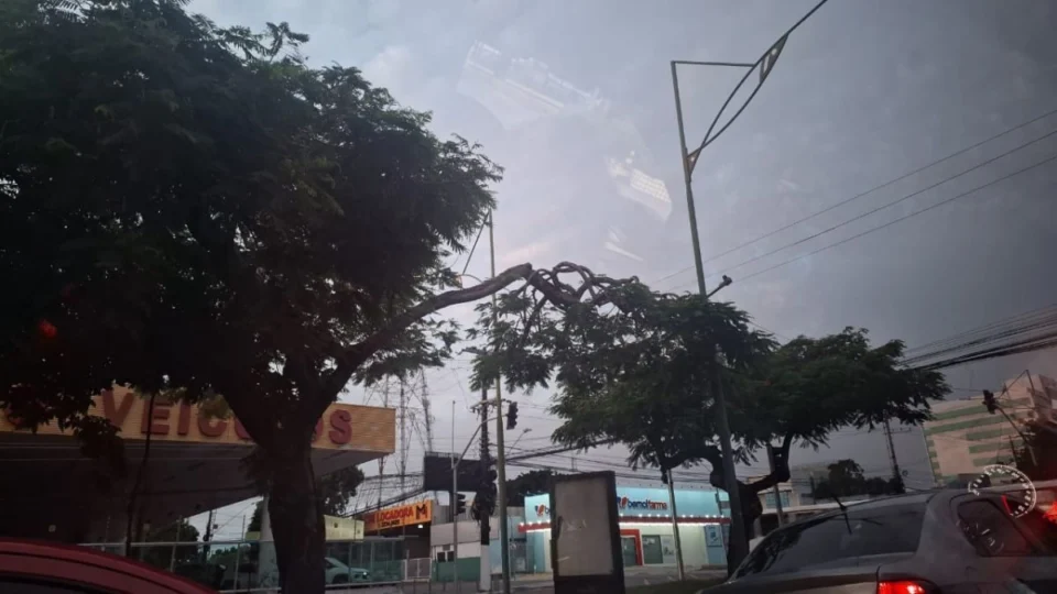 Previsão do tempo em Manaus hoje (23/03): veja como fica o clima na capital