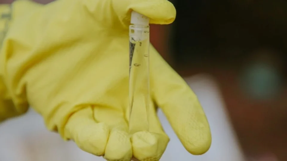 Saúde alerta população sobre o aumento dos casos de chikungunya em Vilhena, RO