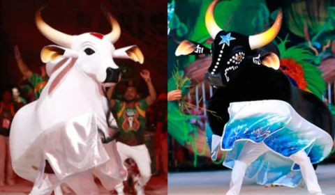 ‘Ensaio dos Bumbás’ ganha calendário oficial em Manaus; veja programação