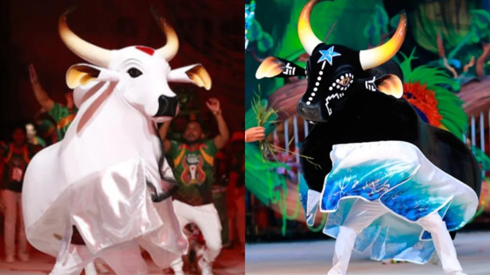 ‘Ensaio dos Bumbás’ ganha calendário oficial em Manaus; veja programação