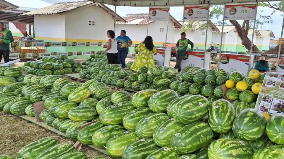 Festa da Melancia 2025 em Normandia: veja a programação e as atrações nacionais