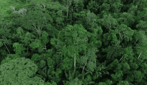 Conferência de Meio Ambiente do Acre: veja quais os principais temas a serem discutidos