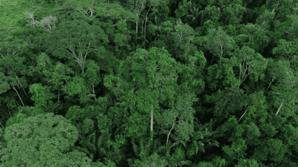 Conferência de Meio Ambiente do Acre: veja quais os principais temas a serem discutidos