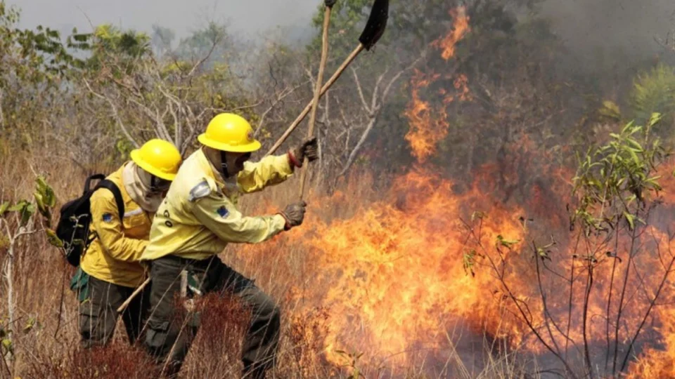 Amazonas dobra número de brigadas para reforçar combate aos incêndios florestais