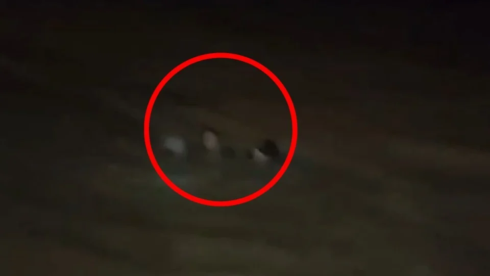 Corpo de jovem desaparecido no rio Amazonas é encontrado em Parintins; busca por segunda vítima continua