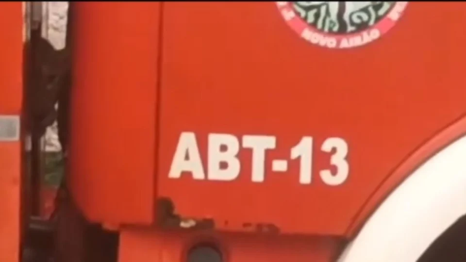 Onça-pintada entra em caminhão de bombeiros no Amazonas; veja vídeo