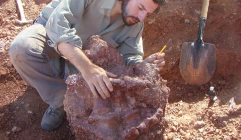 Dia do Paleontólogo (07/03): saiba mais sobre essa profissão e veja frases para enviar