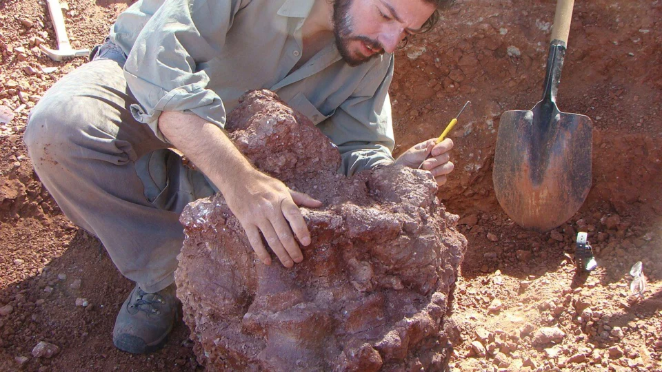 Dia do Paleontólogo (07/03): saiba mais sobre essa profissão e veja frases para enviar