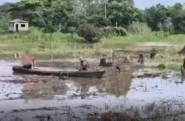 VÍDEO: Membro de facção procurado por tráfico e estupro no AM é morto em troca de tiros