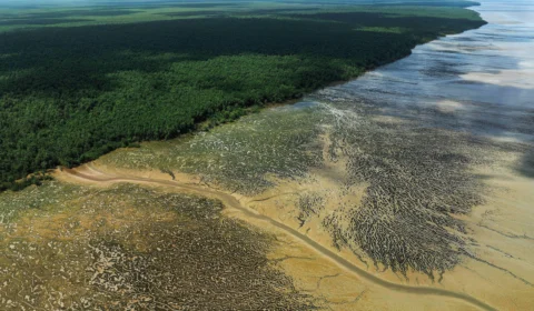 Exploração de petróleo na Foz do Amazonas: ameaça ambiental ou chance de desenvolvimento?