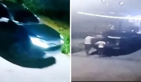 Homens são flagrados abandonando mais de quatro cachorros e filhotes Manaus; veja vídeo