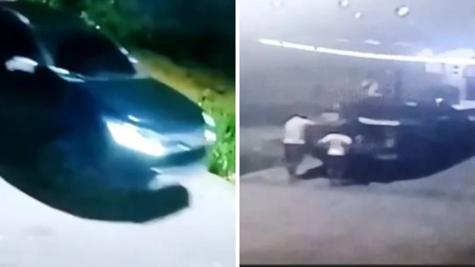 Homens são flagrados abandonando mais de quatro cachorros e filhotes Manaus; veja vídeo