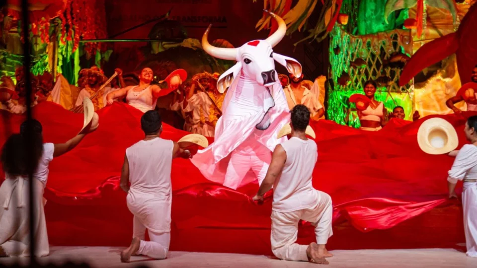 Mistura e tradições: conheça o Boi-Bumbá e outras manifestações culturais do Norte