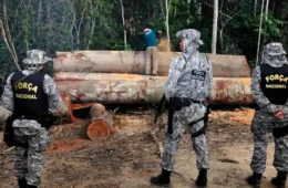 Brasil amplia presença da Força Nacional na Amazônia; bioma foi o mais prejudicado por queimadas