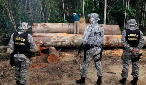 Brasil amplia presença da Força Nacional na Amazônia; bioma foi o mais prejudicado por queimadas