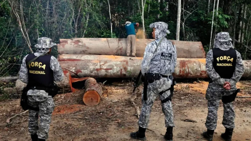 Brasil amplia presença da Força Nacional na Amazônia; bioma foi o mais prejudicado por queimadas