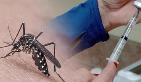 IXCHIQ: nova vacina contra Chikungunya recebe aprovação da Anvisa