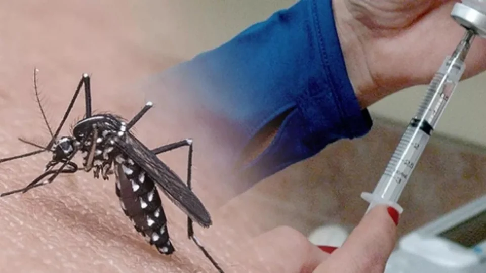 IXCHIQ: nova vacina contra Chikungunya recebe aprovação da Anvisa