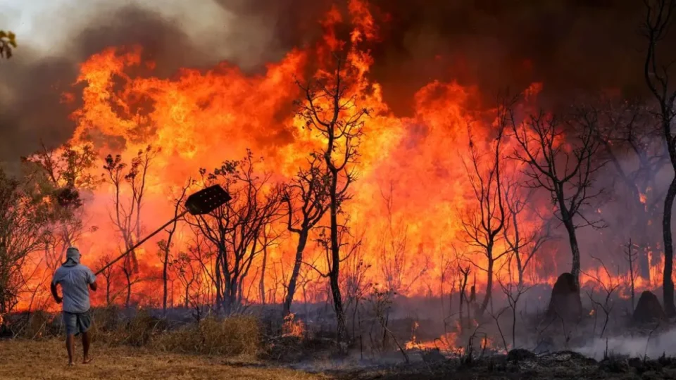 Roraima é o segundo estado com maior área queimada em 2025