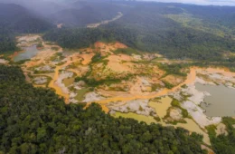 Avião cai em área de garimpo na Terra Yanomami e duas pessoas morrem carbonizadas
