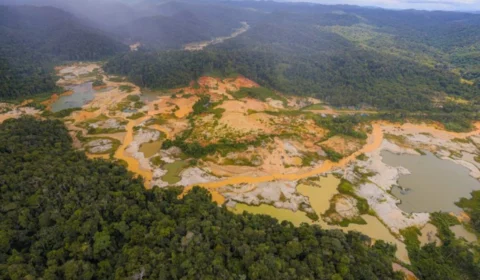 Avião cai em área de garimpo na Terra Yanomami e duas pessoas morrem carbonizadas