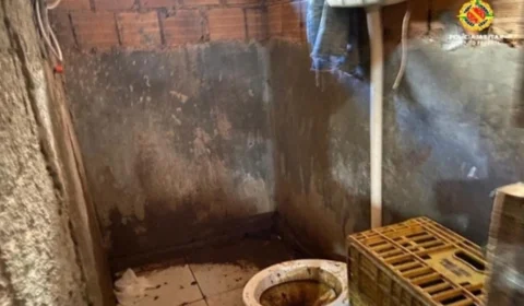 O que revelam as fiscalizações de trabalho análogo à escravidão no DF? 503 trabalhadores foram libertados