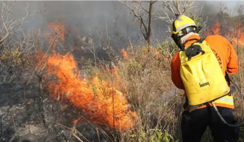 Como o aumento das queimadas no Brasil impulsiona discussões na Câmara sobre prevenção