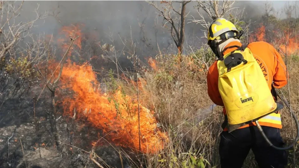Como o aumento das queimadas no Brasil impulsiona discussões na Câmara sobre prevenção