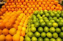 Alvo de preocupação no Brasil, cítricos ganham novo fôlego com exportação à Índia