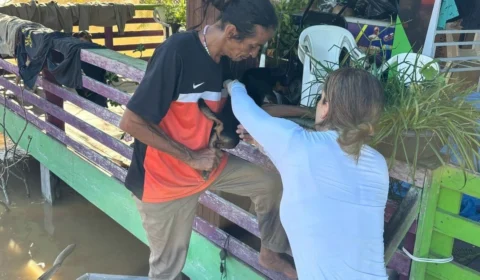 Distrito de Porto Velho recebe assistência para animais afetados pela cheia do rio Madeira