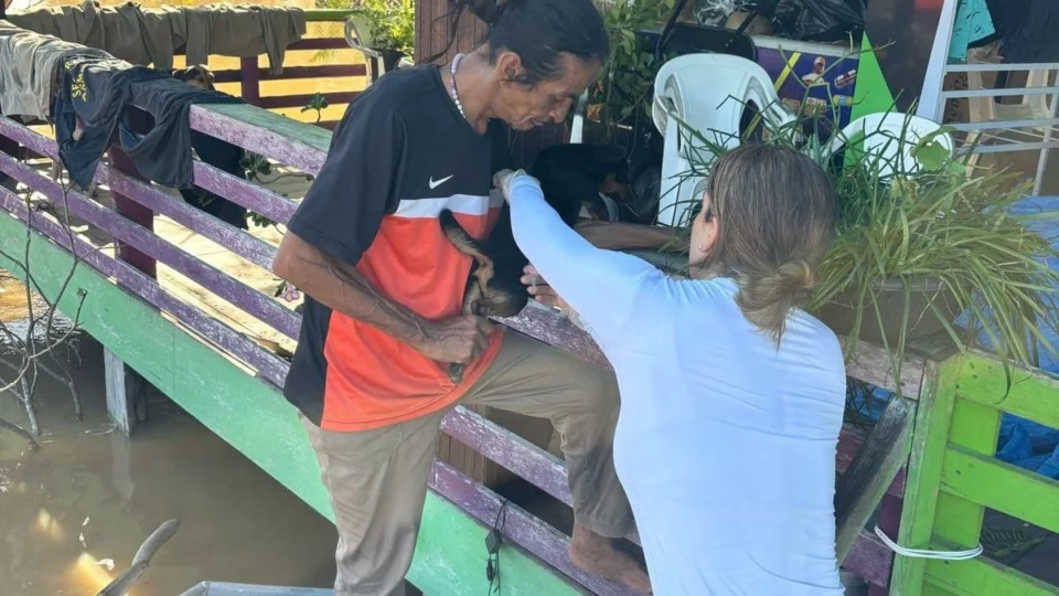 Distrito de Porto Velho recebe assistência para animais afetados pela cheia do rio Madeira