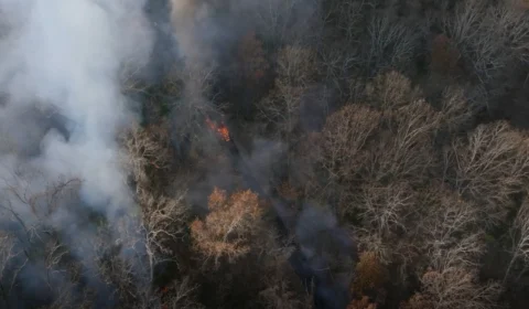 Governo Federal anuncia medidas para reduzir poluentes na preparação para a COP30 em Belém