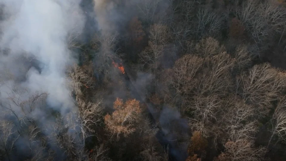 Governo Federal anuncia medidas para reduzir poluentes na preparação para a COP30 em Belém