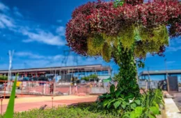 COP30: governo do Pará instala “jardins artificiais” em Belém e gera polêmica