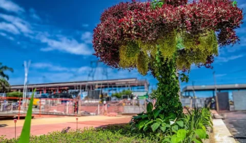 COP30: governo do Pará instala “jardins artificiais” em Belém e gera polêmica