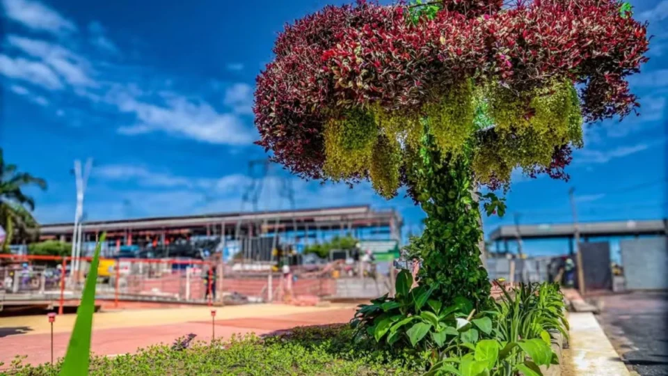 COP30: governo do Pará instala “jardins artificiais” em Belém e gera polêmica