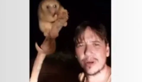 VÍDEO: morador flagra tamanduá raro ‘passeando’ por estrada em Porto Velho