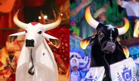 Qual a história do ‘Auto do Boi’? Conheça a origem do Boi-Bumbá de Parintins