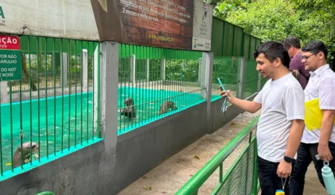 Bosque da Ciência em Manaus celebra 30 anos com programação gratuita