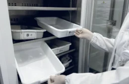 Estoque de sangue no Amazonas sofre queda e Hemoam pede doações urgentes; saiba como