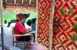 Ancestralidade Sateré-Mawé mantém tradição indígena viva com o ritual da tucandeira