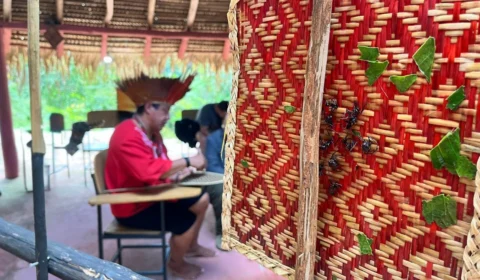 Ancestralidade Sateré-Mawé mantém tradição indígena viva com o ritual da tucandeira