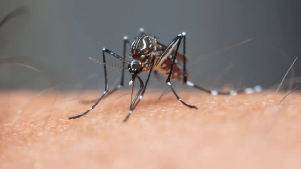 Roraima confirma primeira morte por dengue em 2025; casos preocupam autoridades