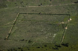Imagens revelam descobertas sobre civilizações indígenas antigas no Amazonas