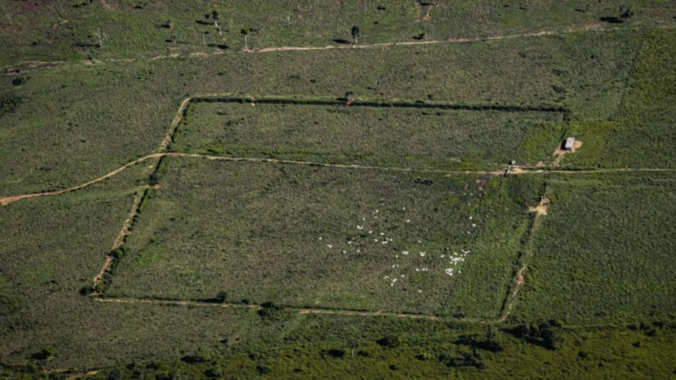 Imagens revelam descobertas sobre civilizações indígenas antigas no Amazonas