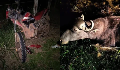 Adolescente de 15 anos morre após colidir com búfalo em estrada de Itacoatiara