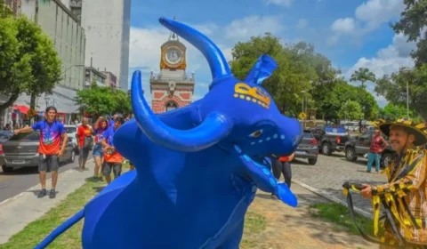 Boilevard anima Manaus com boi de rua nesta sexta-feira (16); confira a programação