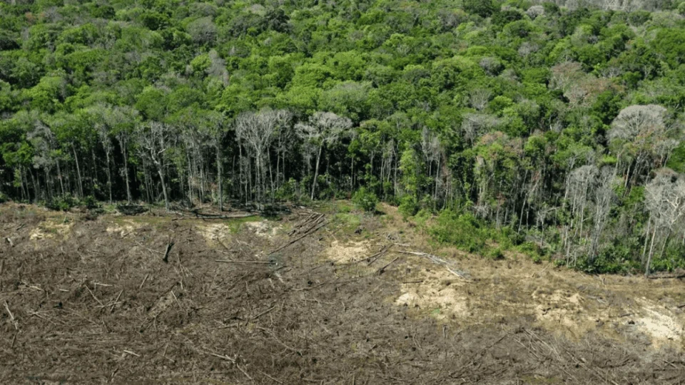 Senado aprova flexibilização do licenciamento ambiental em meio a críticas
