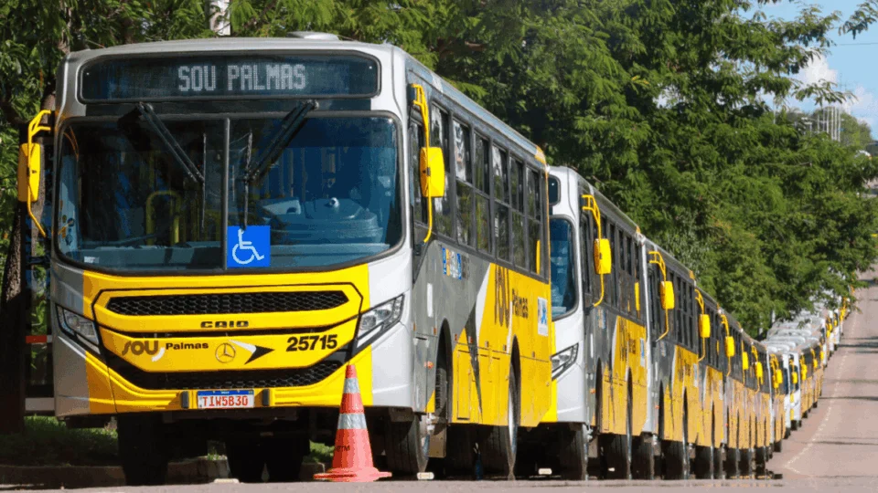 Gratuidade do transporte coletivo em Palmas: veja até quando