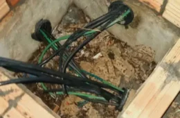 Homem é baleado por guardas municipais ao tentar furtar fios de usina solar em Boa Vista